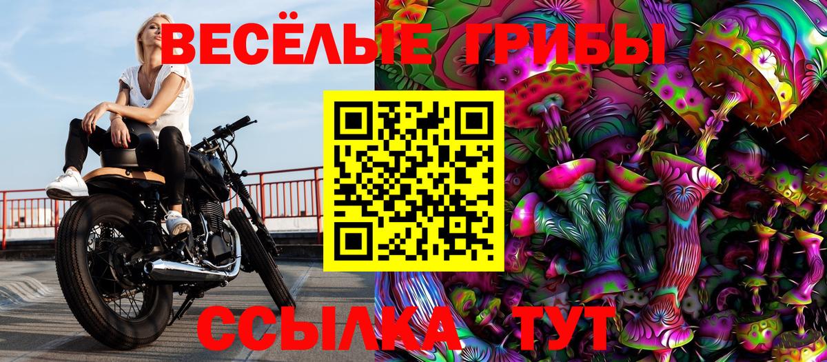 купить наркоту  Вход с VPN  Петропавловск-Камчатский  Галлюциногенные грибы мухоморы 
